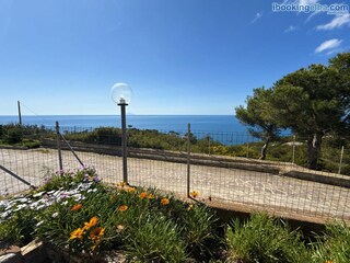 Apartment Capoliveri Outdoor Recording 10