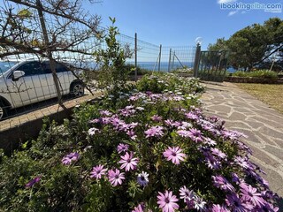 Apartment Capoliveri Outdoor Recording 13