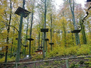 Hochseilgarten Klettern