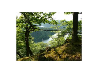 Naturschutzwald Kellerwald