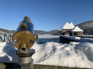 Im Winter am See