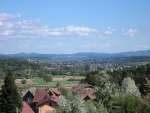 Exclusive holiday apartment / West Styria / Stainz - Stainz - image1