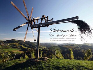 Appartamento per vacanze Stainz Ambiente 35