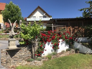 Vakantieappartement Stainz Buitenaudio-opname 6