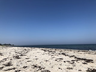 Gammendorfer Strand