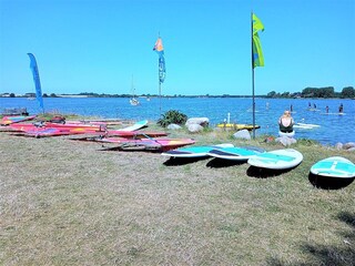 Sufen in Maasholm Ostsee