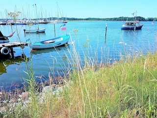Fischerboot in Maasholm Ostsee