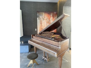 Villa Gentbos- Play on the Grand Piano, 110 years old!
