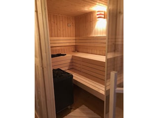 Blockhaussauna innen