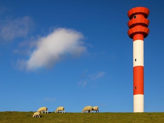 Landschaft