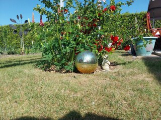 Ferienwohnung Niepars Außenaufnahme 7