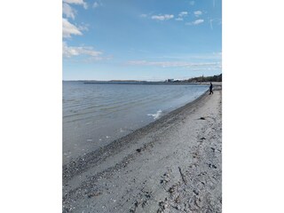 Schöner sandstrand in Stralsund mit Blick auf die Insel