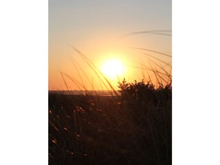 Sonnenuntergang in den Dünen