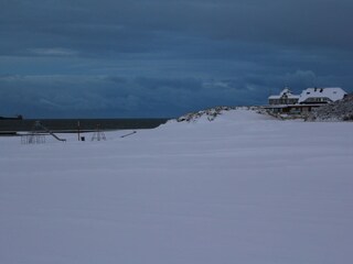 "Heimliche Liebe" im Winter