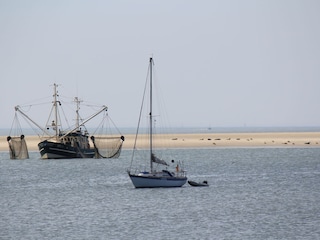 Sommertag am Nordstrand; im Hintergrund die Seehundsban