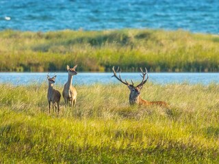 Nationalpark mit schönen Wanderwegen
