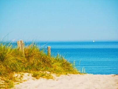 Firma Strandhaus Fischland Darss - Herr Dr. Tobias Hahn