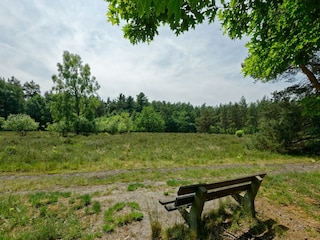 Holiday park Lochem Environment 16