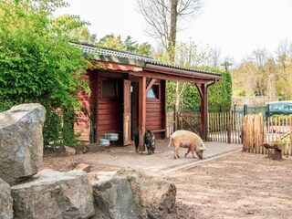Holiday park Lochem  25