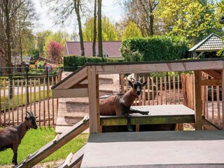 Holiday park Lochem  26
