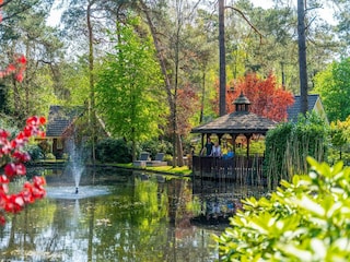 Ferienpark Beekbergen Umgebung 10