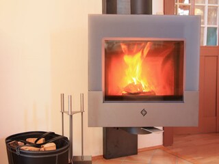 Designer-Schwedenofen