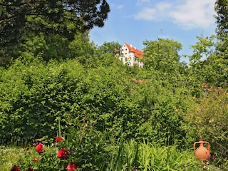 Blick aus dem Garten zum Schloss