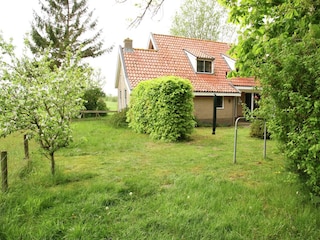 Ferienhaus Boornzwaag Außenaufnahme 4