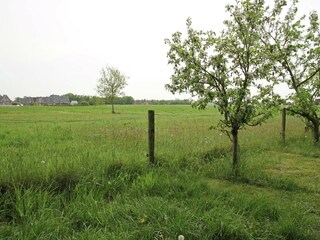 Ferienhaus Boornzwaag Umgebung 15