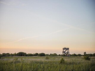 Vakantiehuis Boornzwaag Omgeving 18
