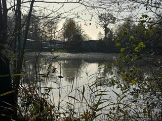 Vakantiehuis Boornzwaag Omgeving 19