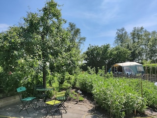 Holiday house Munnekeburen Outdoor Recording 1