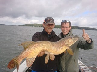 A gorgeous pike fished in the Plauer Lake