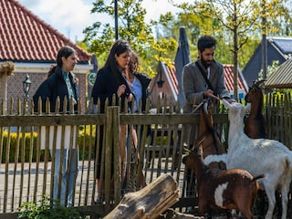 Ferienpark Driehuis  38