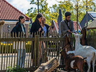 Ferienpark Driehuis  25
