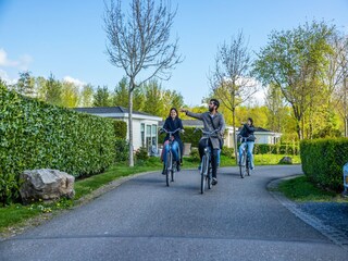 Parc de vacances Driehuis Environnement 8
