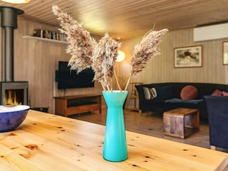 Ferienhaus Hals  30