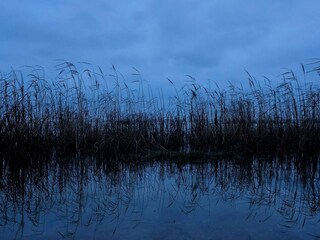 Maison de vacances Hals  33