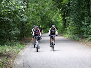 Ferienpark Baarlo Umgebung 16