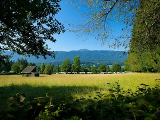 Ferienpark Presseggersee Umgebung 12
