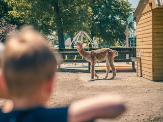 Ferienpark Susteren  35