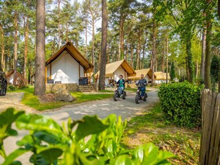Vakantiepark Lanaken Omgeving 18