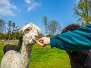 Vakantiepark Lanaken Omgeving 15