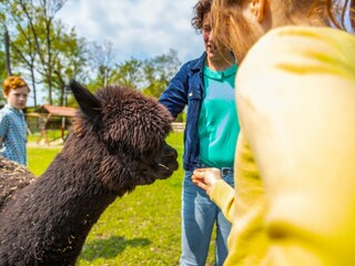 Vakantiepark Lanaken Omgeving 18