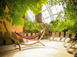 Trailer Groß Wasserburg  31