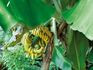 Caravan Groß Wasserburg  34