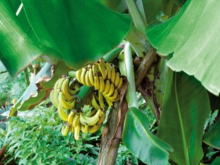 Roulotte Groß Wasserburg  28