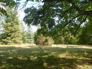 Vakantiehuis Lusignac Omgeving 23