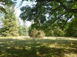 Vakantiehuis Lusignac Omgeving 6
