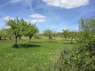 Vakantiehuis Lusignac Omgeving 8